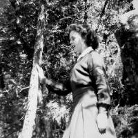 1958 